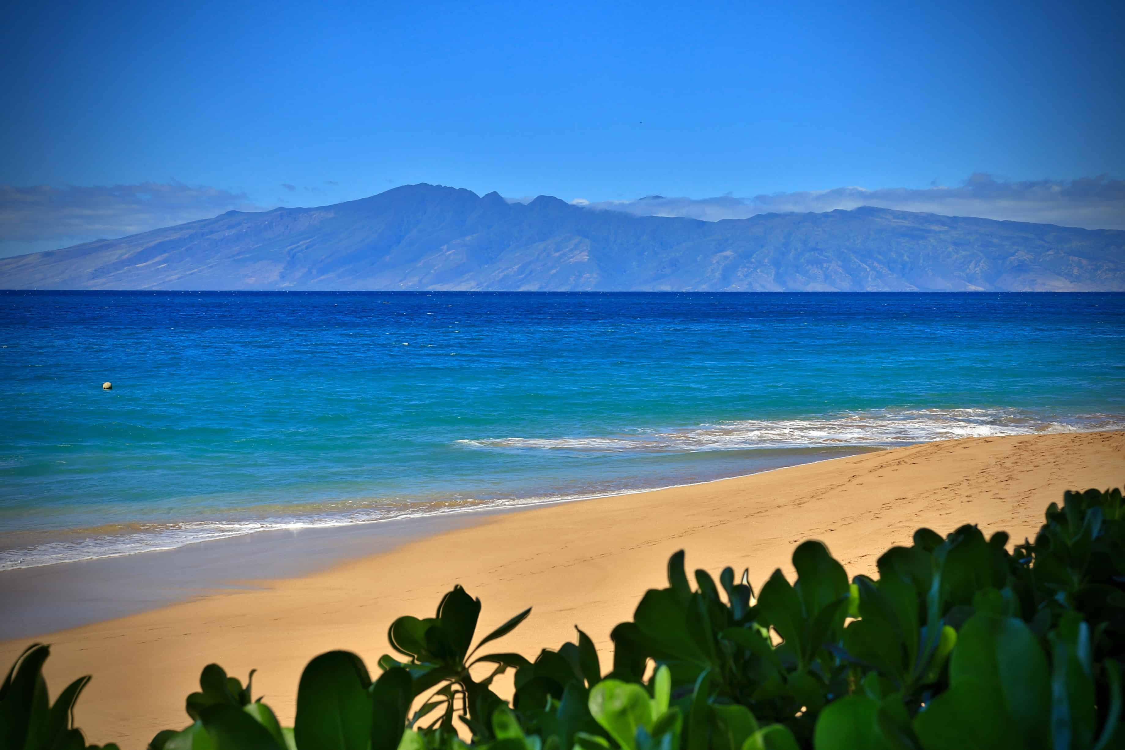 Beach In Front Of Resort