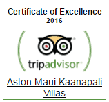 Certificate of Excellence - Trip Advisor