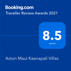 Booking.com Traveller Review Awards 2021 8.5 out of 10