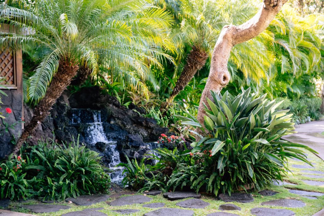 Maui-Kanaapali_Interior-Exterior_JS_300 (4 of 15)