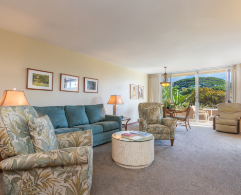 One BR GV Premium - Living opt