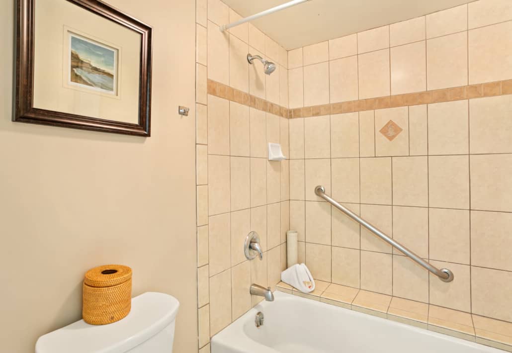 bath tub and shower combo in the bathroom