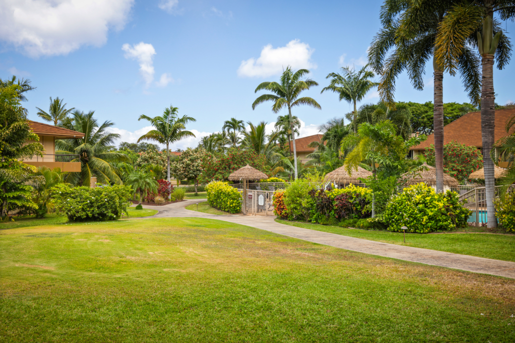 tropical garden setting with a pathway to the gated pool area